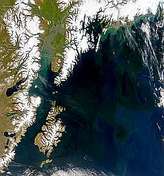 Gulf of Alaska in Bloom - selected image
