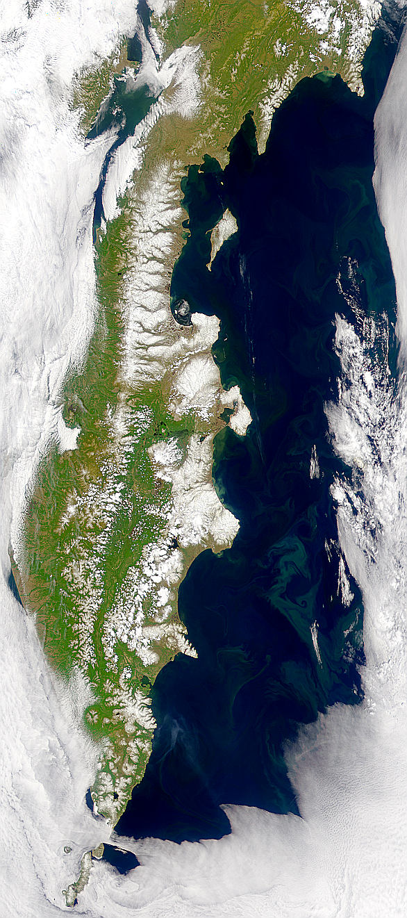 Blooms Off Kamchatka Peninsula - related image preview