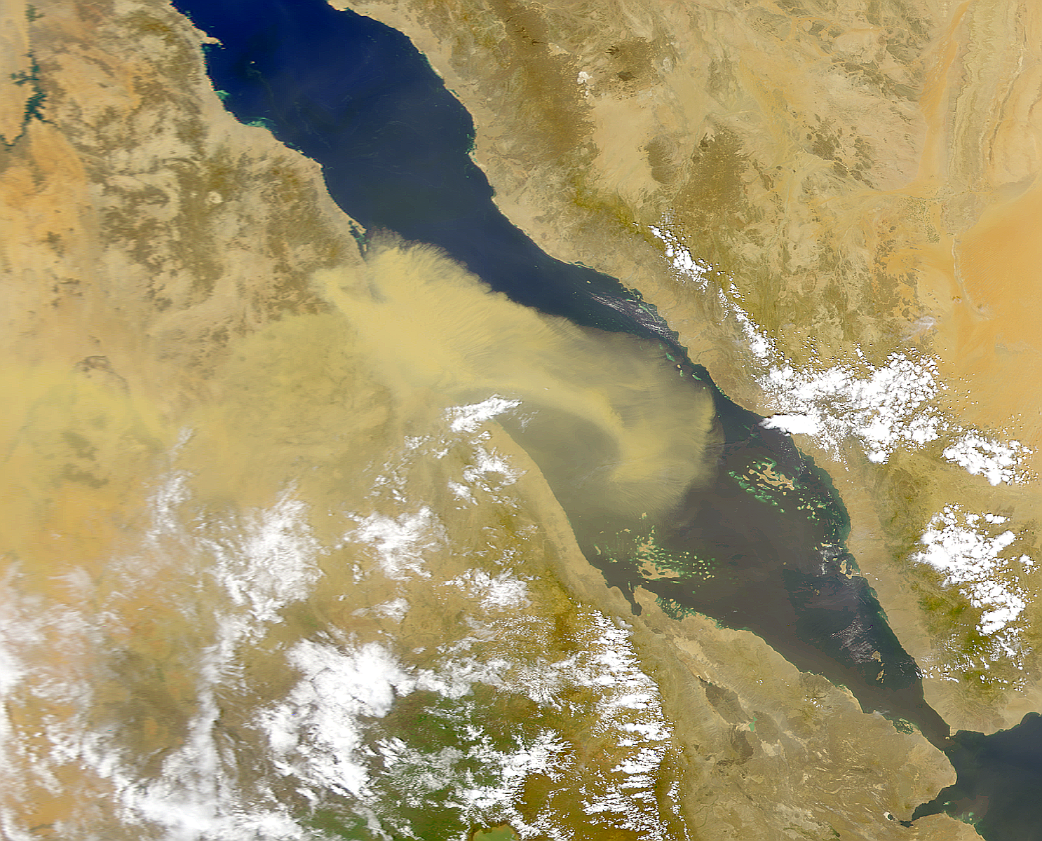 Red Sea Dust Storm - related image preview