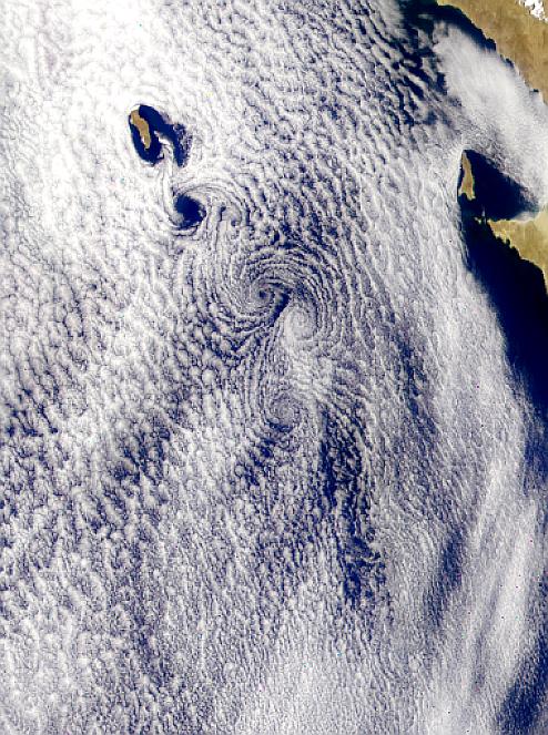 Guadalupe Island Vortex Street - related image preview