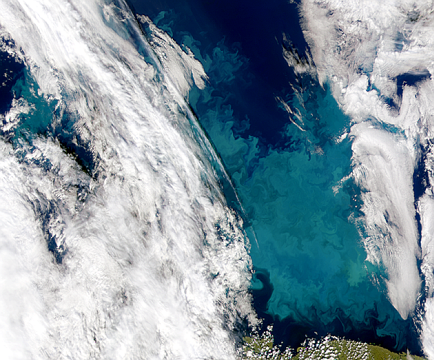 Barents Sea Bloom - related image preview