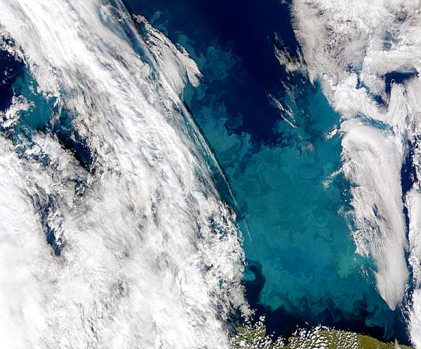 Barents Sea Bloom - related image preview