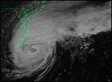 Hurricane Dennis - selected image