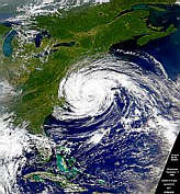 Tropical Storm Dennis - selected child image