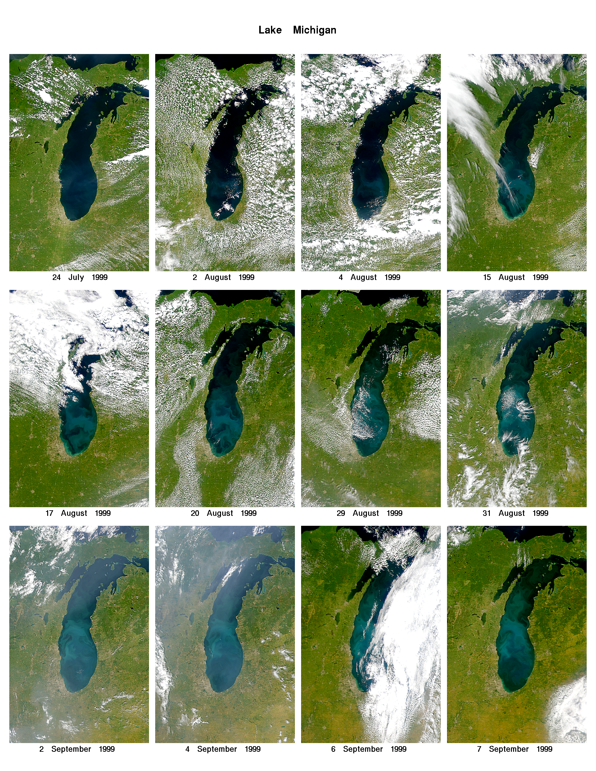 Lake Michigan in Bloom - related image preview