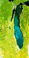 Lake Michigan in Bloom - selected child image