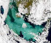 Bering Sea Bloom - selected child image