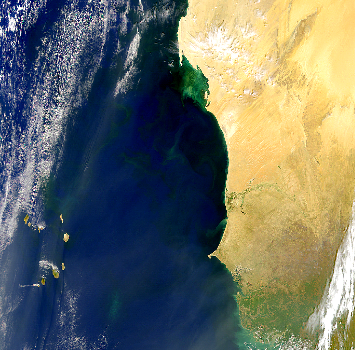 Blooms and Plumes Off Western Africa - related image preview