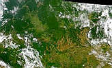 Rondonia Deforestation - selected image