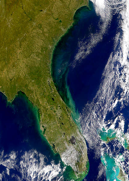 Cape Canaveral Plume - related image preview