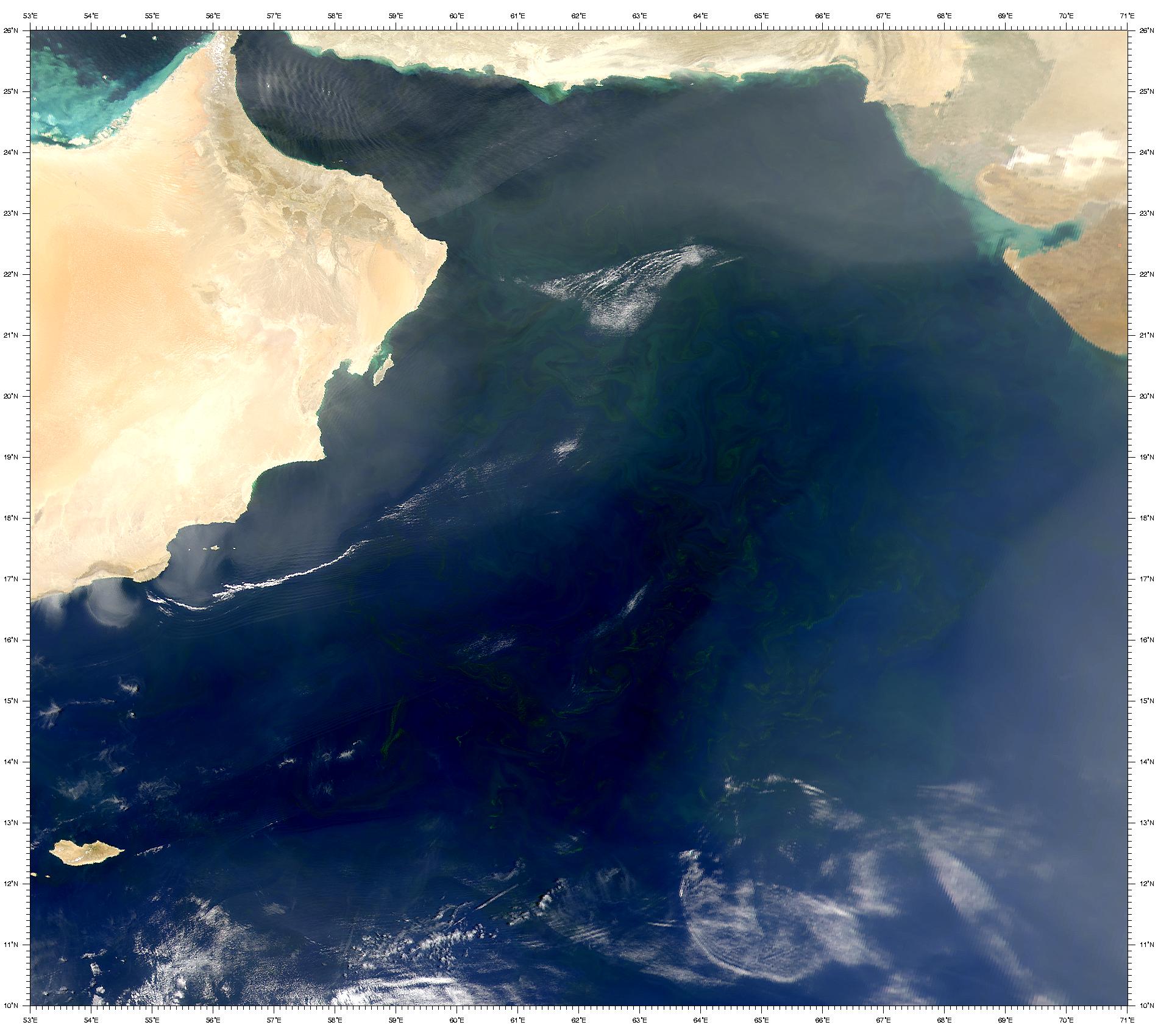 Arabian Sea Blooms - related image preview