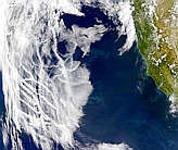 Northeast Pacific Ocean - selected child image