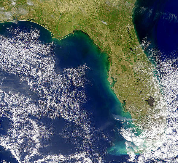 Smoke Plume from Florida Fires - related image preview