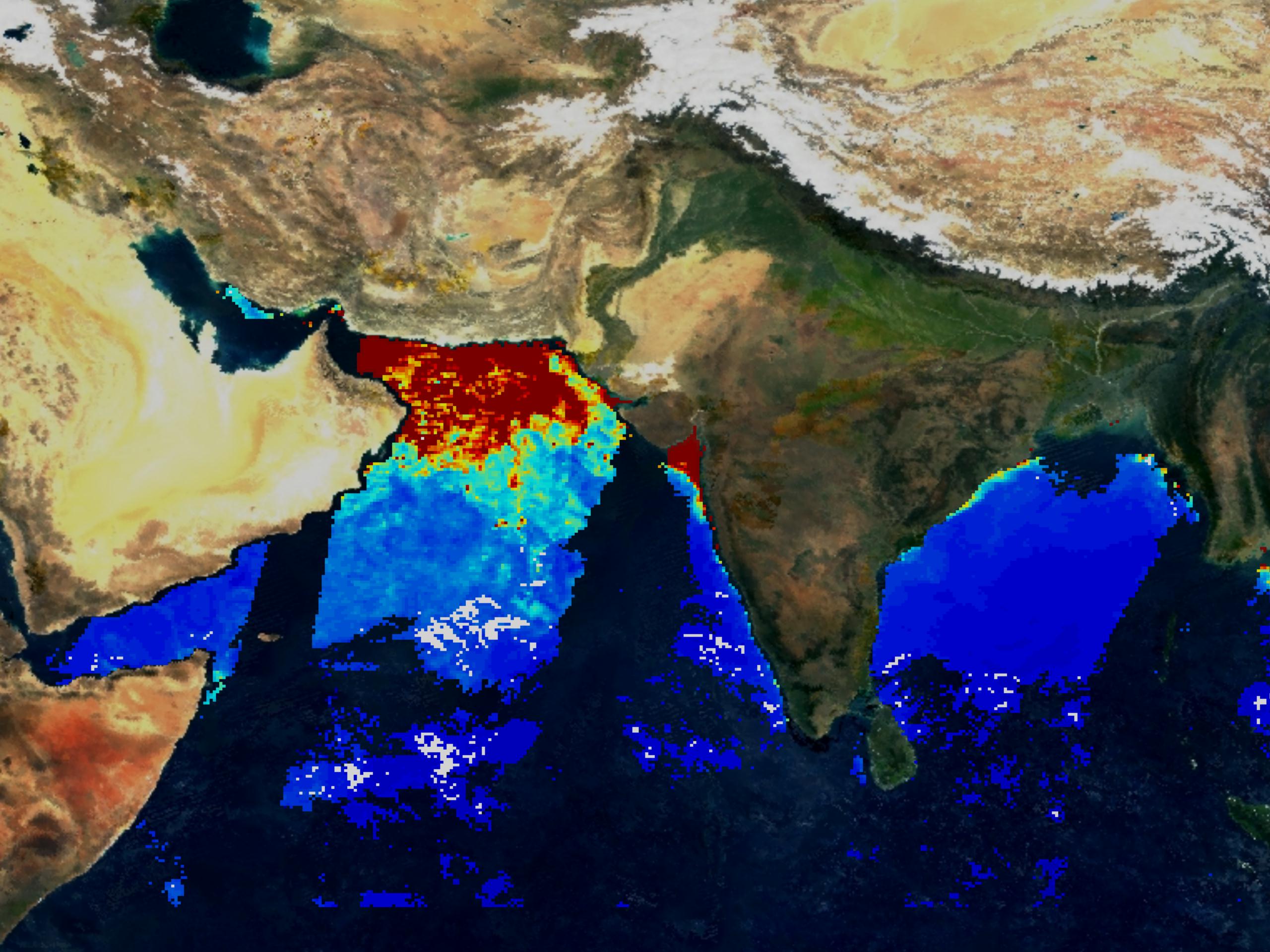 MODIS Chlorophyll from Indian Sub-continent - related image preview