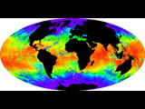 Global Sea Surface Temperature - selected image