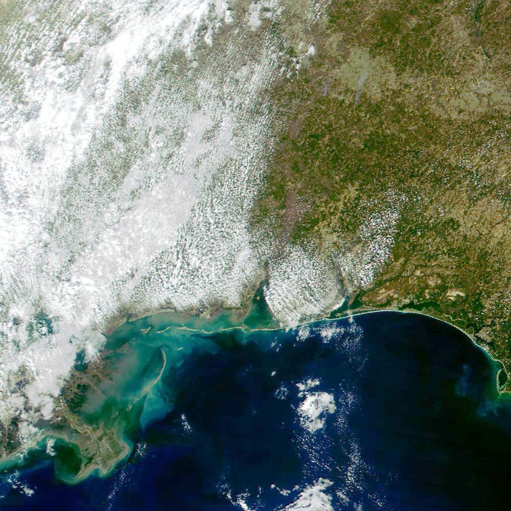 Mississippi Delta and Northeastern Gulf of Mexico Coastline - related image preview