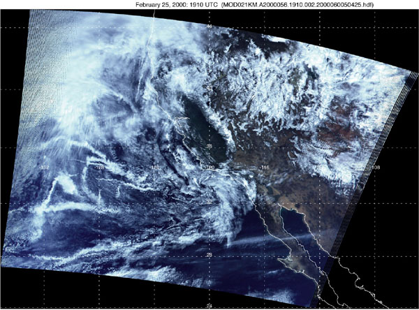 Ship Tracks off California from MODIS - related image preview