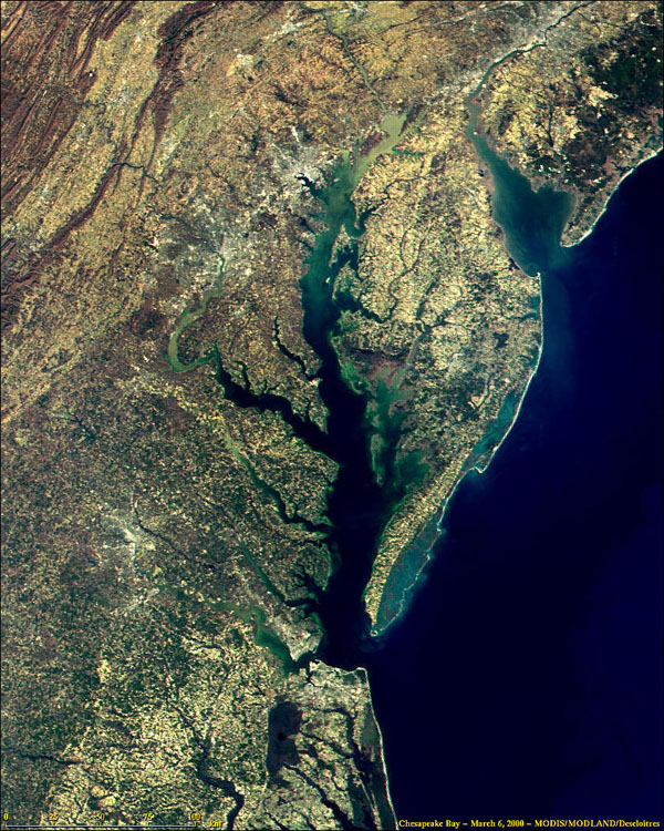 Chesapeake Bay from MODIS - related image preview