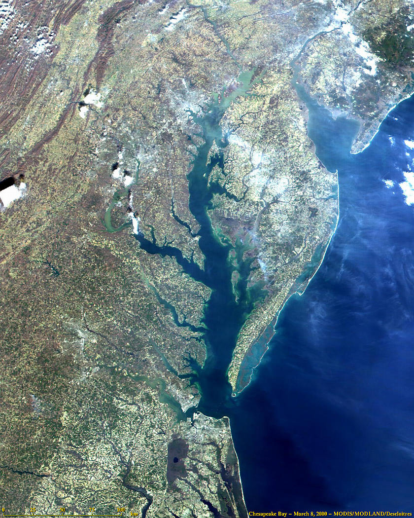 Chesapeake Bay from MODIS - related image preview