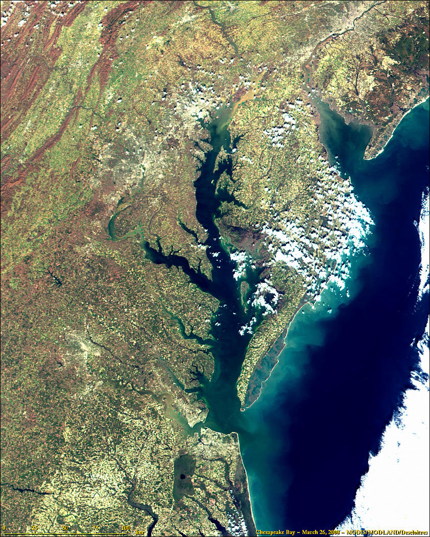 NASA Visible Earth: Chesapeake Bay from MODIS