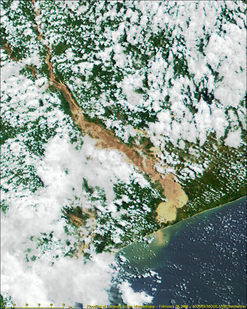 Flooding in Mozambique from MODIS - related image preview