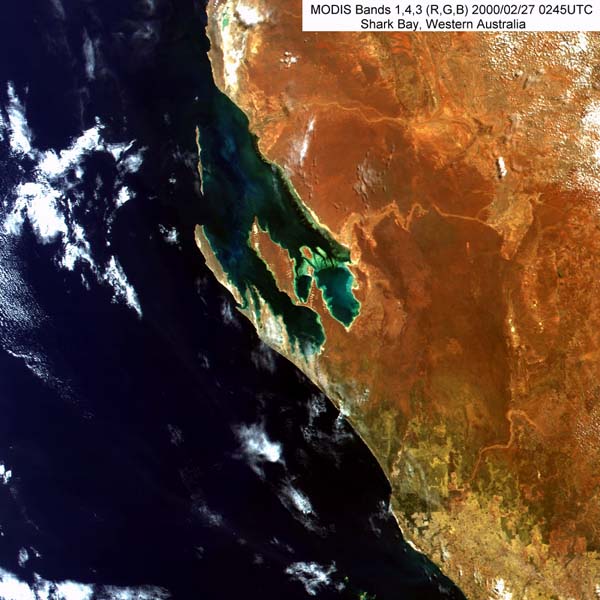 Shark Bay, Western Australia from MODIS - related image preview