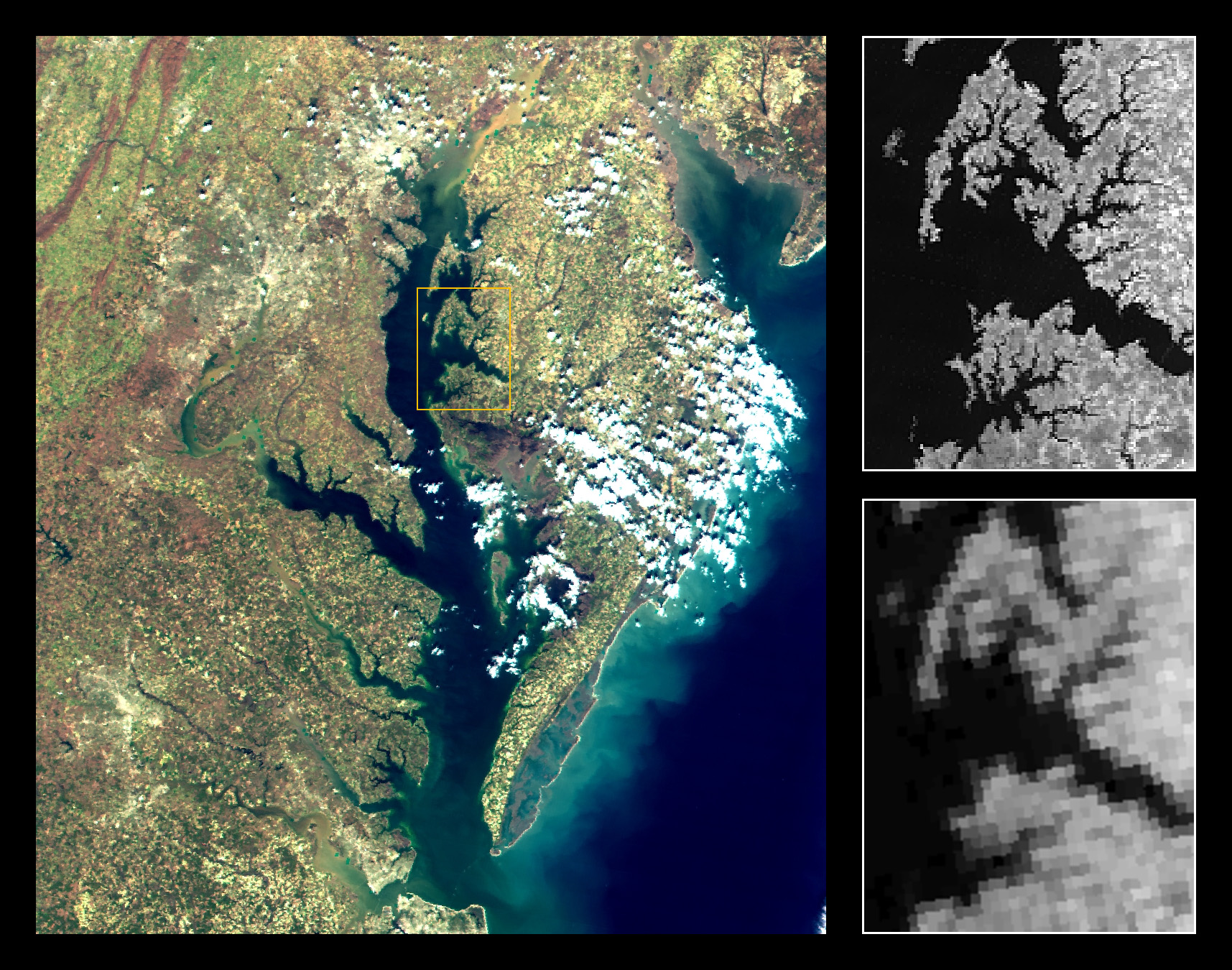 Chesapeake Bay and Delmarva Peninsula Montage with MODIS v. AVHRR Band 2 Resolution Comparison - related image preview