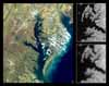 Chesapeake Bay and Delmarva Peninsula Montage with MODIS v. AVHRR Band 2 Resolution Comparison - selected child image