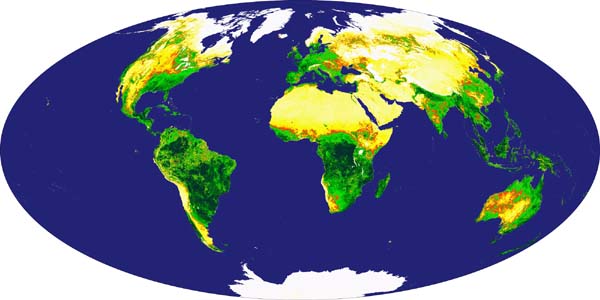 Global Vegetation Index from MODIS - related image preview
