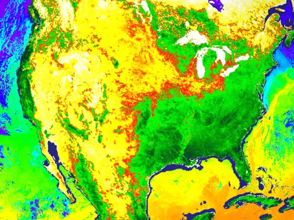 Sea Surface Temperature and Vegetation Index from MODIS - related image preview