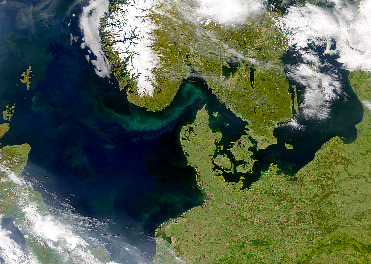 Phytoplankton Blooms in North Sea - related image preview