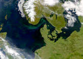 Phytoplankton Blooms in North Sea - selected child image