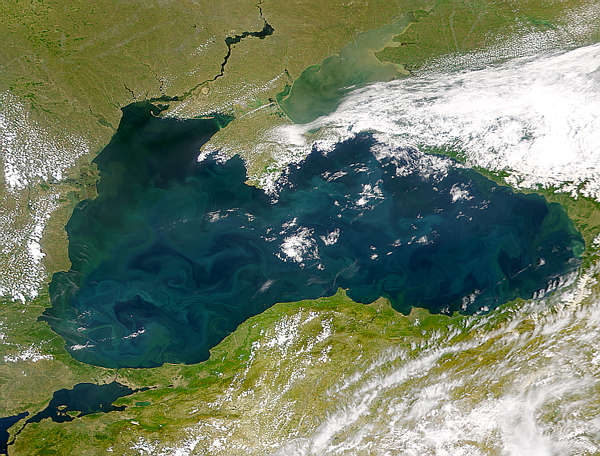 Black Sea Packed with Phytoplankton - related image preview