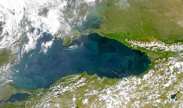 Black Sea Bloom - related image preview
