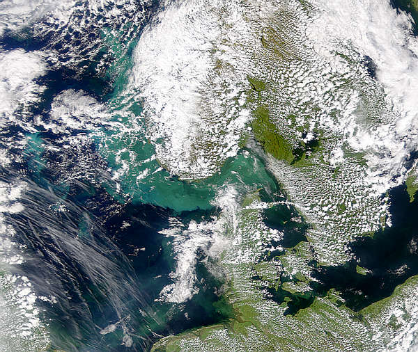 Phytoplankton Bloom in Skagerrak - related image preview