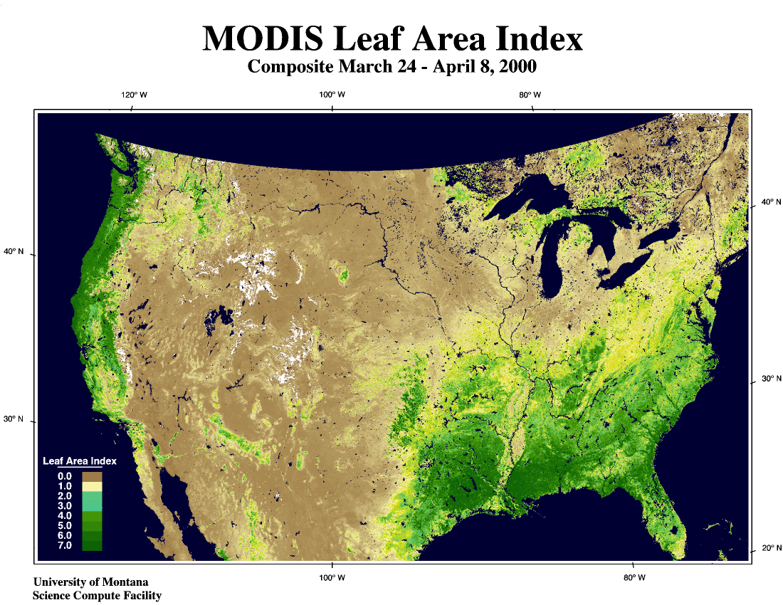 MODIS Measures Total U.S. Leaf Area - related image preview