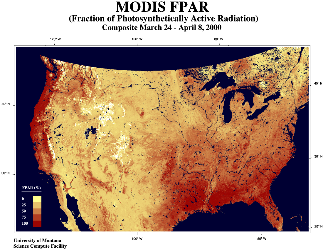 MODIS Measures Fraction of Sunlight Absorbed by Plants - related image preview