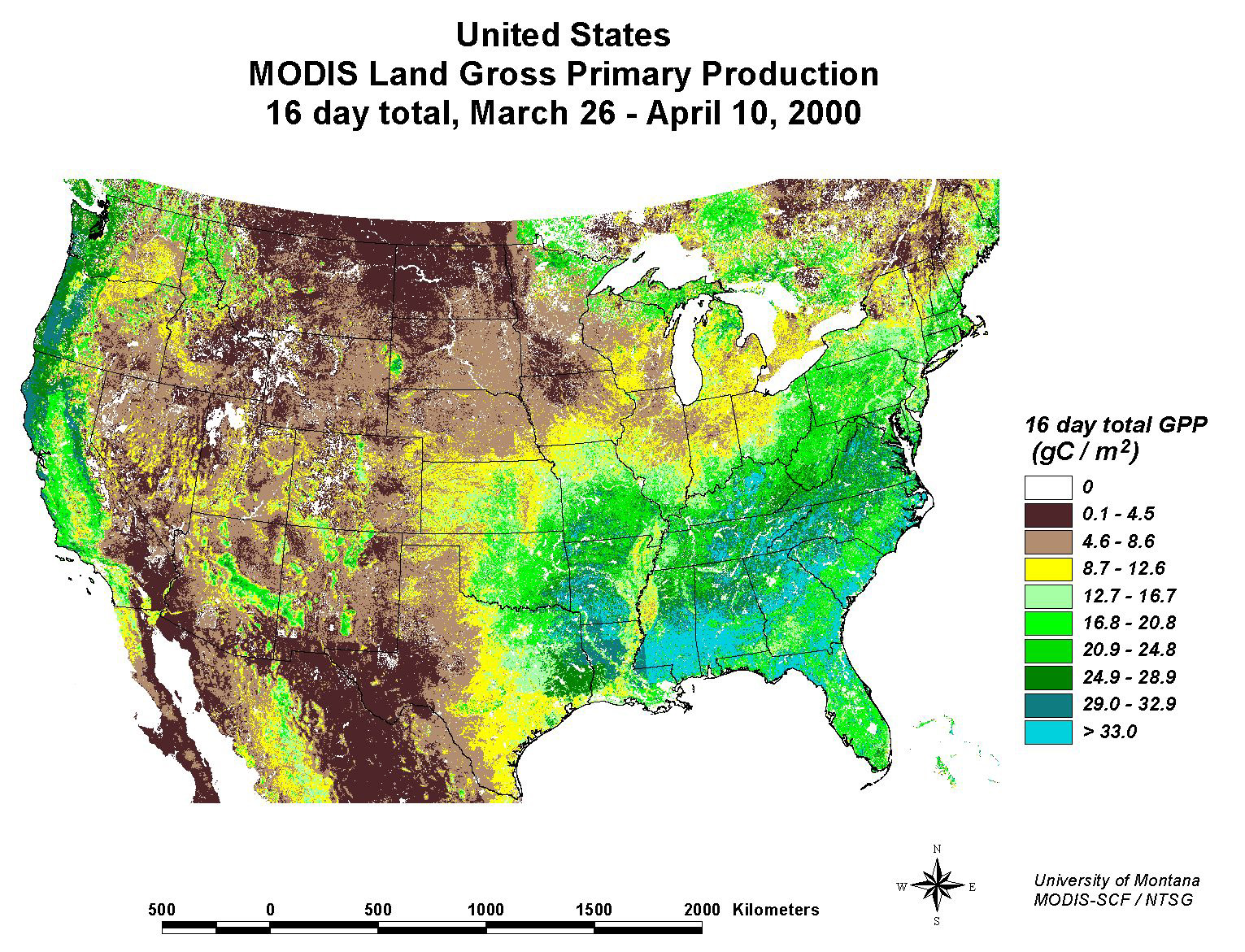 MODIS Gross Primary Productivity - related image preview