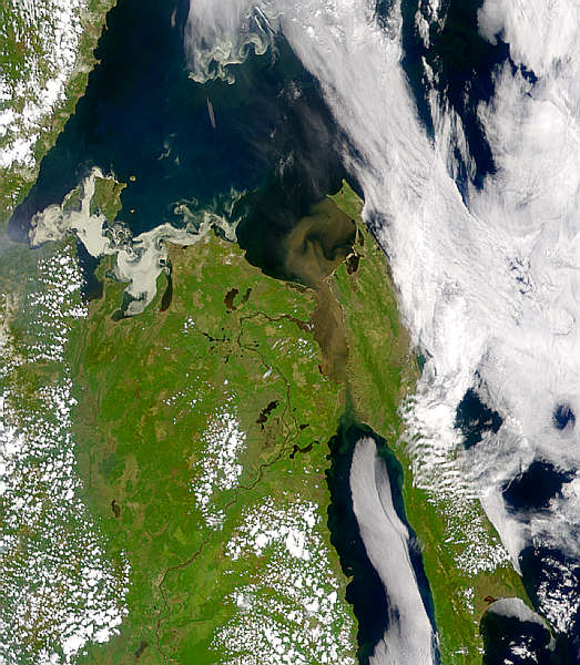 Sediment Flowing from the Amur - related image preview