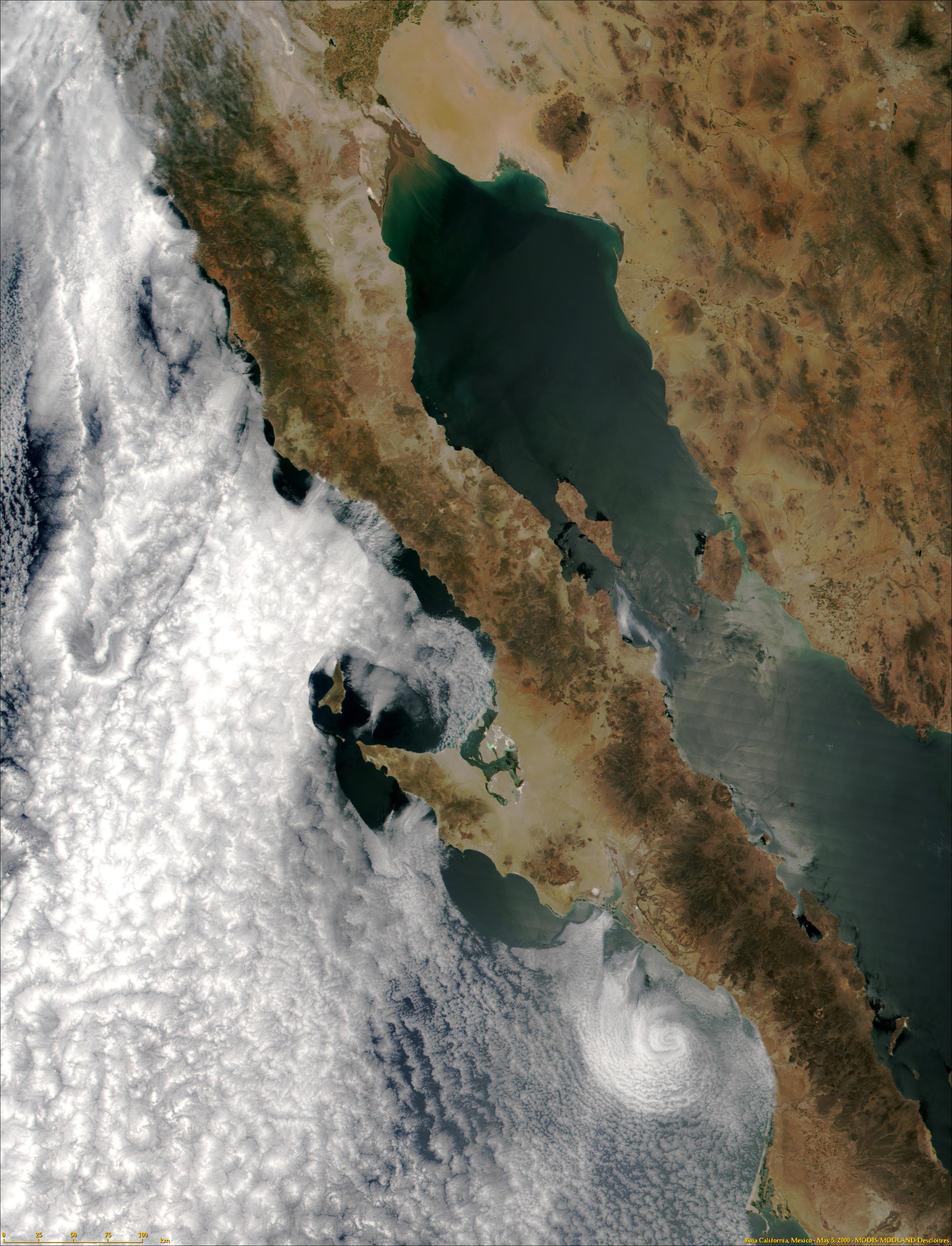 Baja, California - related image preview