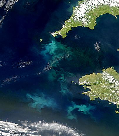 Coccolithophore Blooms off Brittany, Cornwall - related image preview