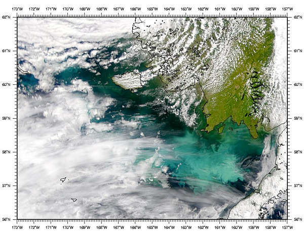 Phytoplankton Bloom in Bering Sea - related image preview