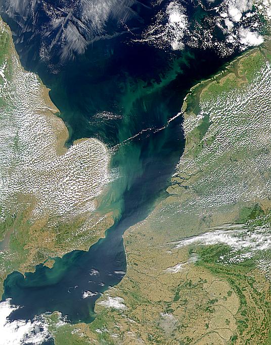 North Sea Bloom - related image preview