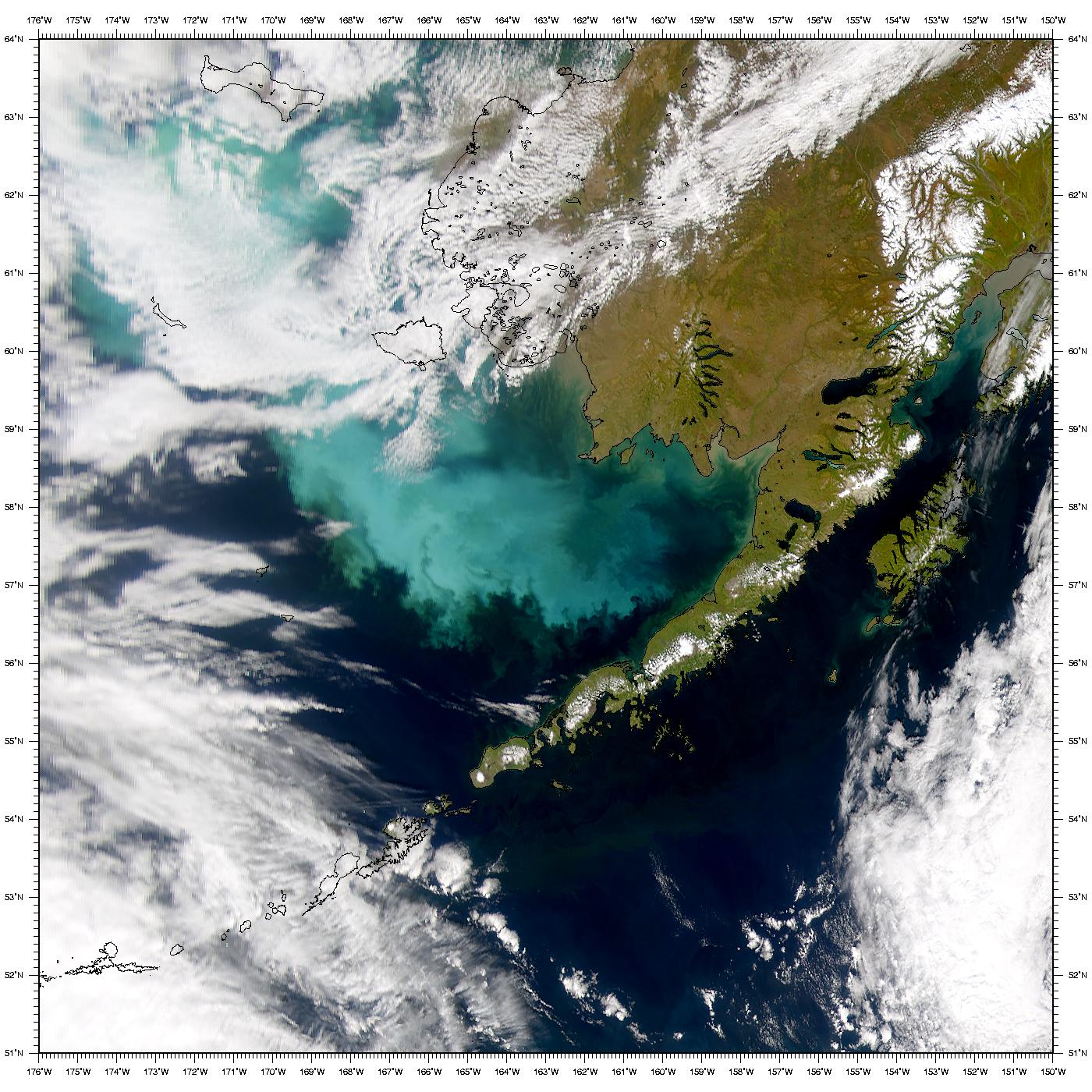 Bering Sea Bloom - related image preview