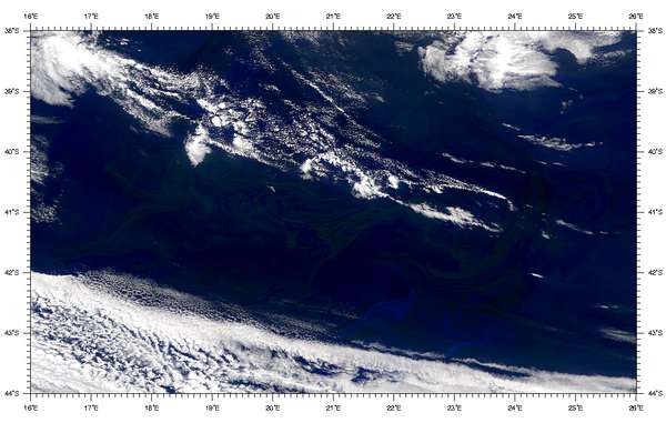 SeaWiFS: Blooms South of Africa - related image preview