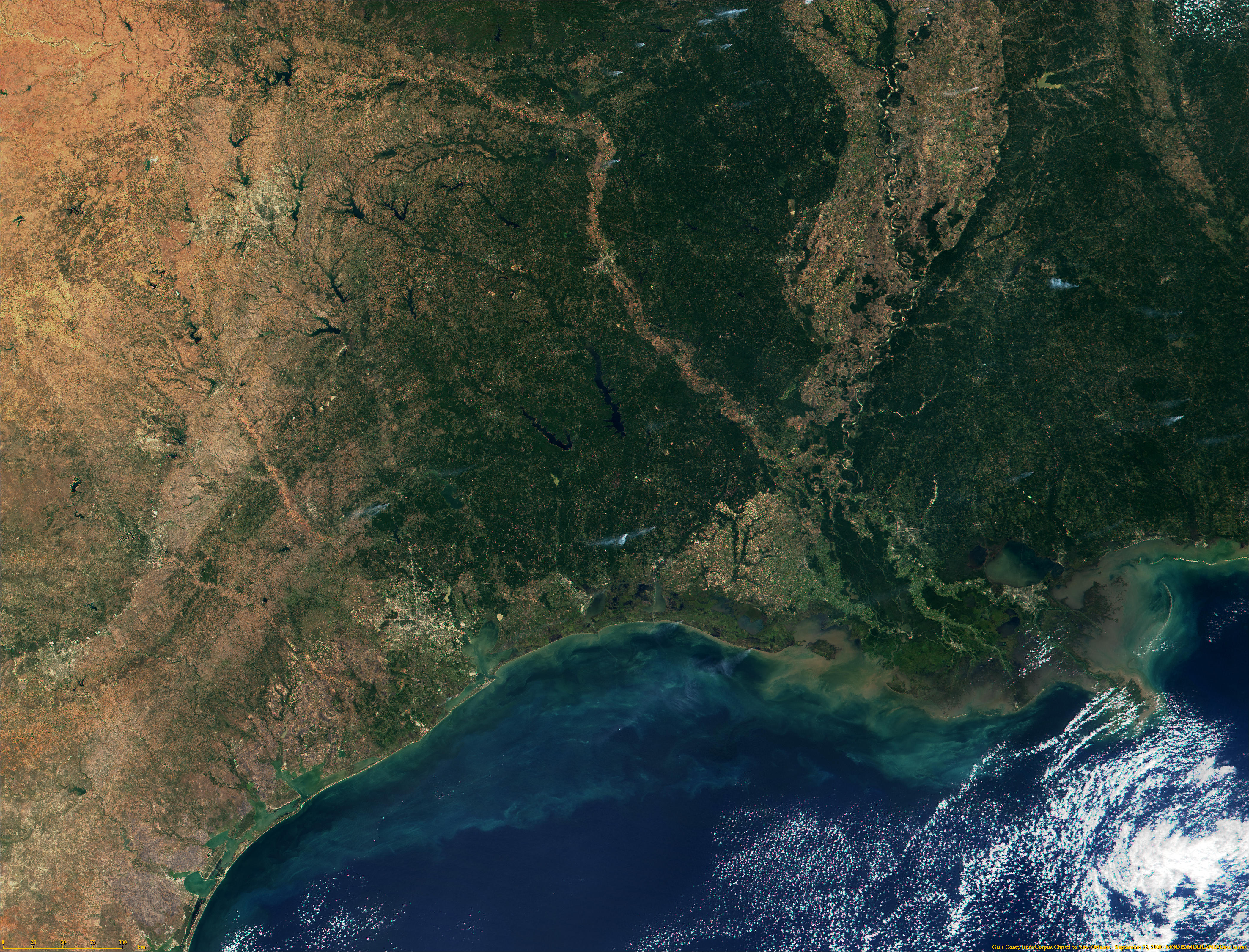 MODIS: Gulf Coast - related image preview