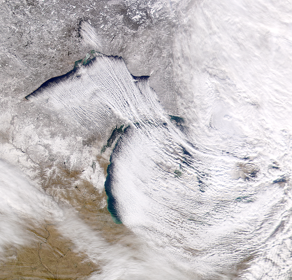 SeaWiFS: Great Lake Effect - related image preview