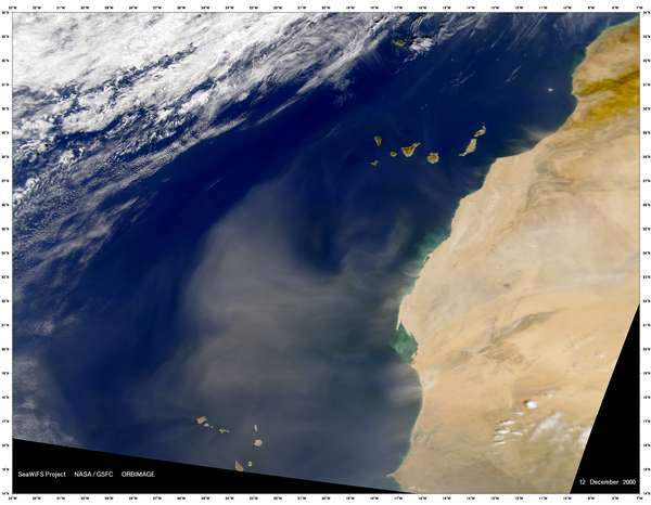 SeaWiFS: Northwest African Dust Storm - related image preview