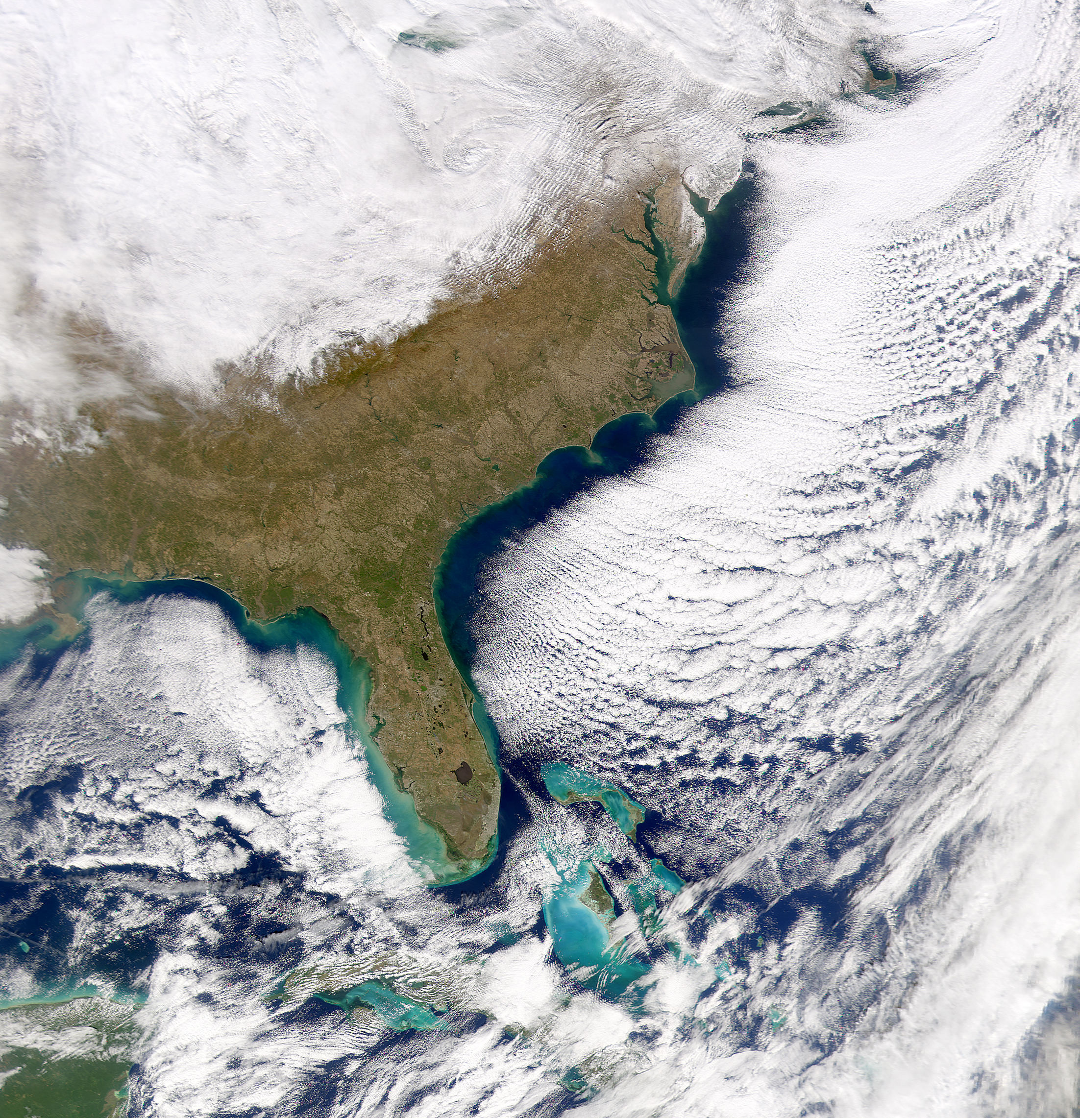 SeaWiFS: Southeastern United States - related image preview