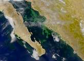 SeaWiFS: Phytoplankton Bloom in Gulf of California - selected image